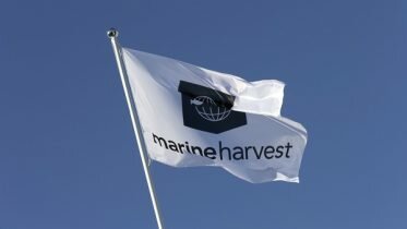Marine Harvest changes name to MOWI