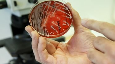 Around 70 people die from resistant bacteria in Norway every year
