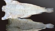 Clipfish Bacalao Bacalhau