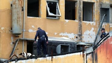 No more bomb dogs on construction sites