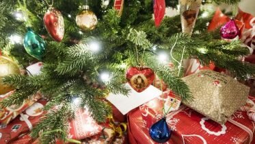 Authorities warn against pirated goods
