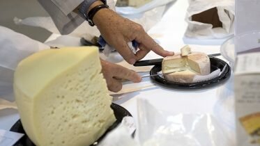 19 kilos of cheese per Norwegian