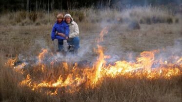 Grass fires across Norway: ”It is like kindling”