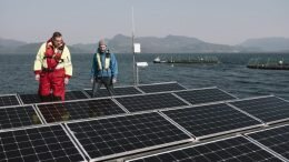 Salmon Farm Solar panel renewable energy