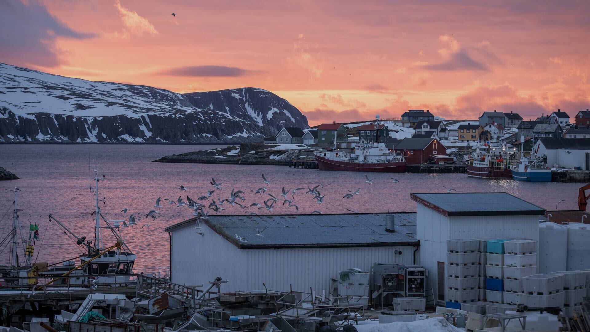 Man indicted for murder is apprehended in police action in Mehamn