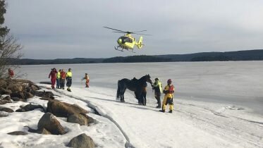 Horse rescued by helicopter at Finnskogen