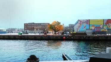 Luminous tree will be exhibited at Filipstad