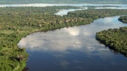 Amazon River Amazon Fund