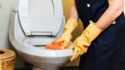 Cleaning toilet Embassy of Spain