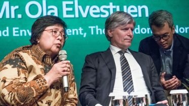 Logging moratorium in Indonesia’s forests made permanent