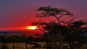 Norway is concerned about developments in Tanzania