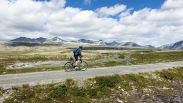 The government will allow more electric bicycle use in the national parks