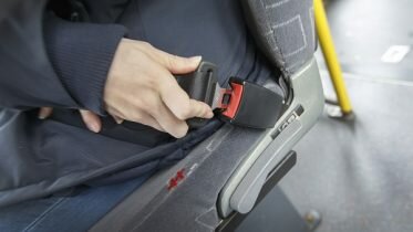 661 bus passengers were charged for having dropped their belt