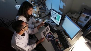 Researchers in Australia have detected skin cancer genes