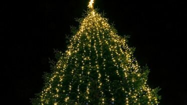 Denmark on the green, sparkling Christmas tree top