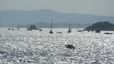 Several non-native insect species discovered around the Oslo Fjord