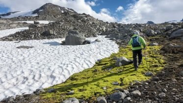 The travel industry is calling for clearer guidelines for the Norwegian summer holiday