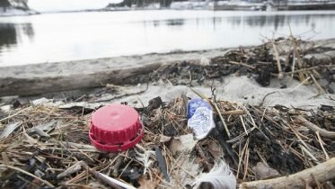3,000 have signed up to clean beaches