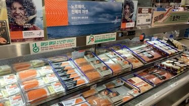 Norwegian seafood exports fall significantly in August