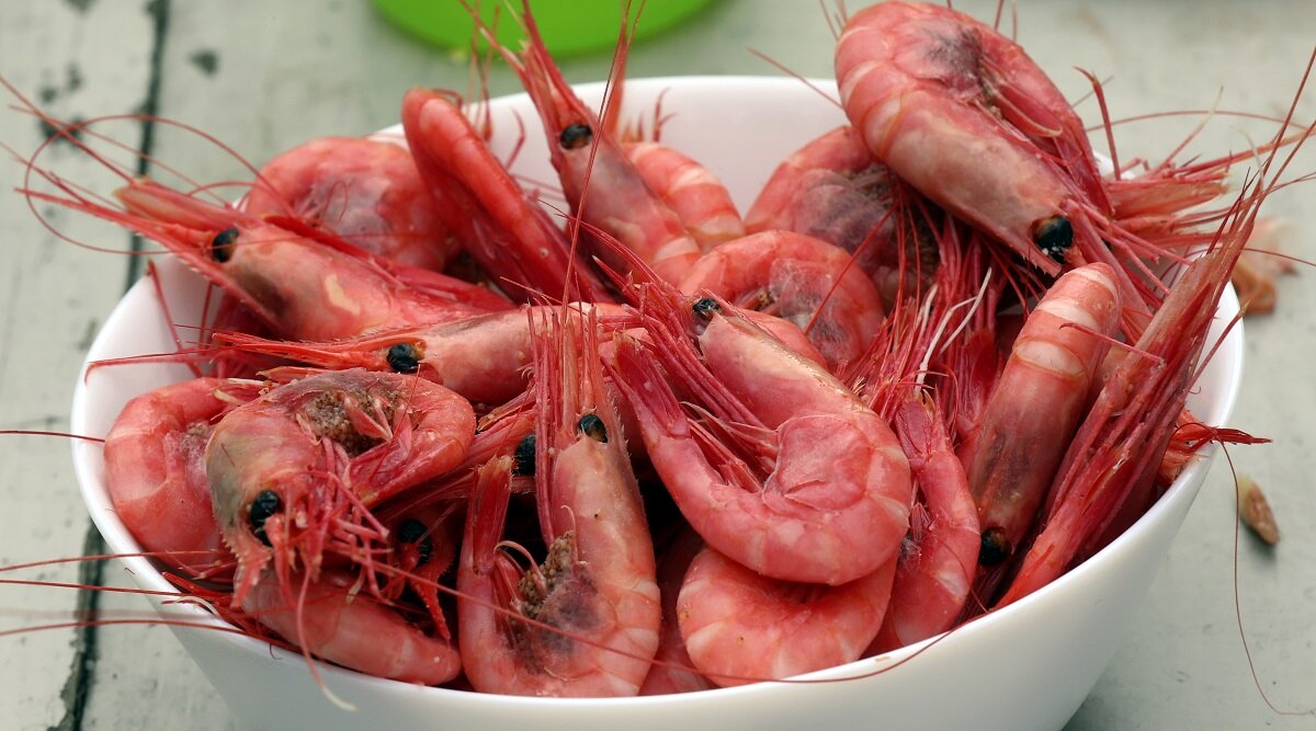 Norwegian seafood export surpasses last year’s record