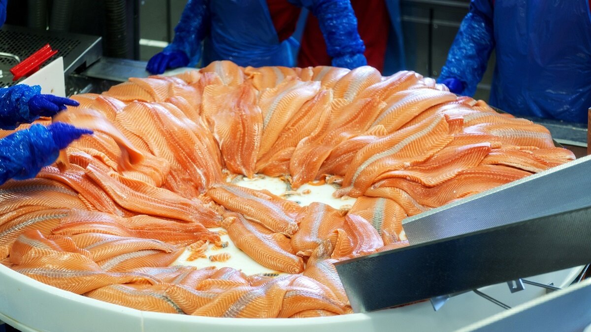 New record for Norwegian seafood exports