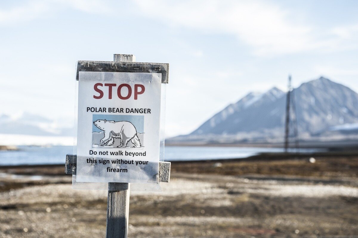 Polar bear sign Svalbard