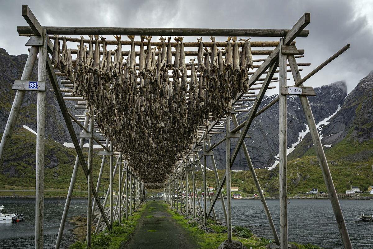 Torrfisk - dried cod