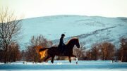 Horse riding snow