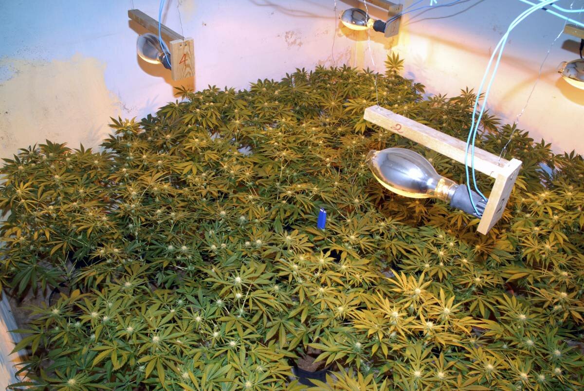 Fire brigade finds big cannabis plantation while putting out house fire in Nærbø - one person charged