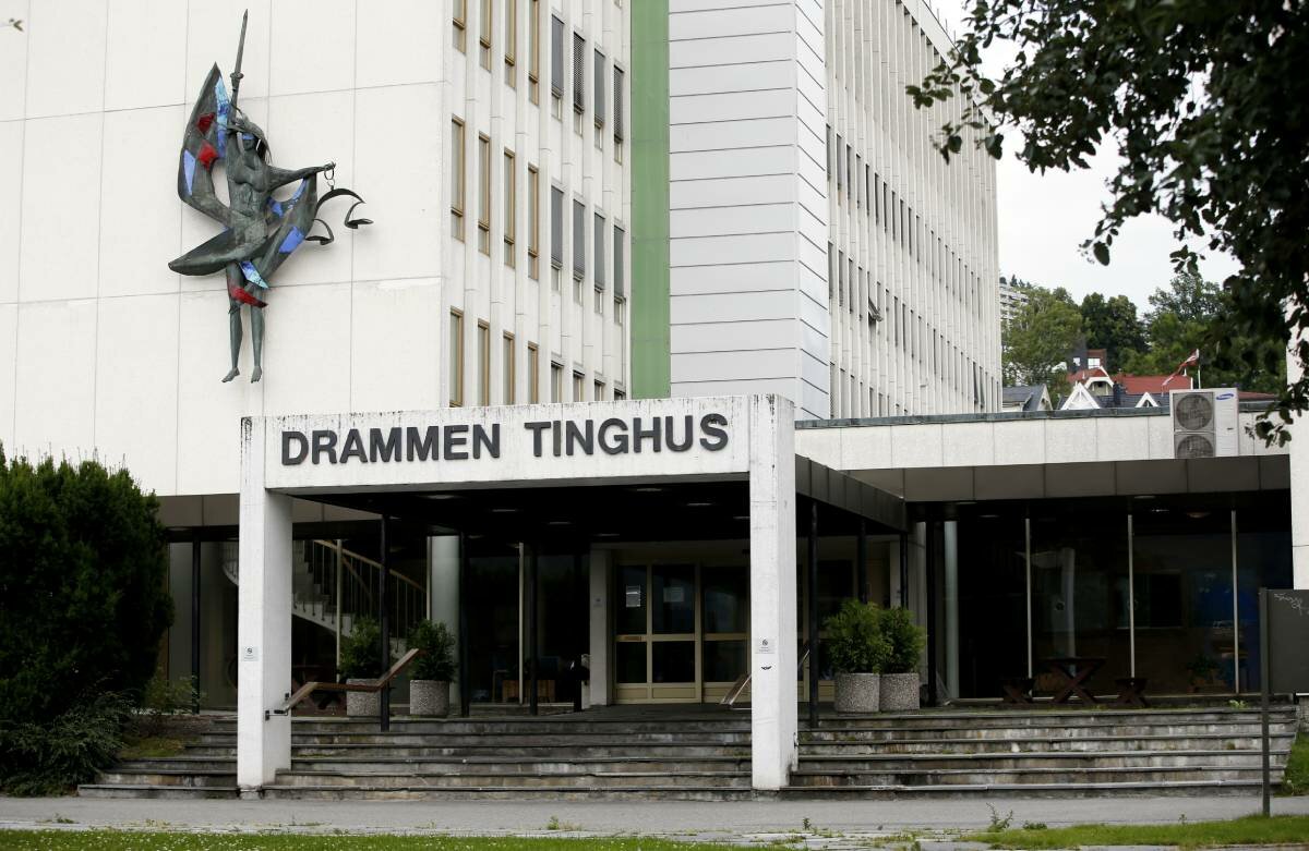 Buskerud District Court: Man convicted for causing the death of two dogs