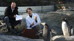 Penguins vaccinated