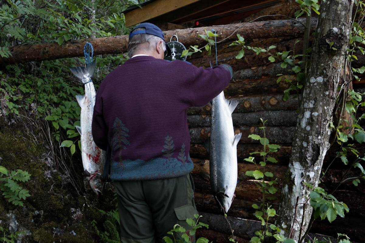 Under threat? Wild salmon and reindeer considered as new candidates for Norway’s Red List of Species