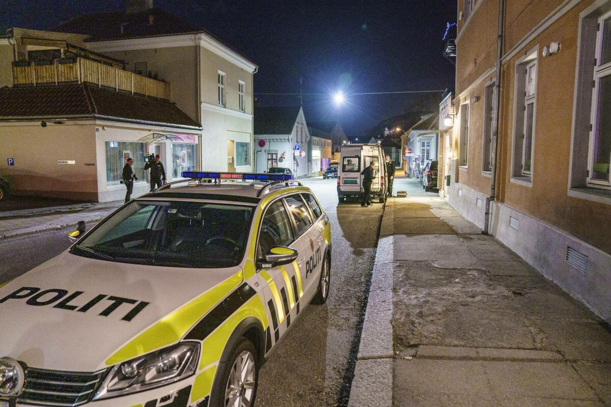 Woman admits to killing her brother in Halden