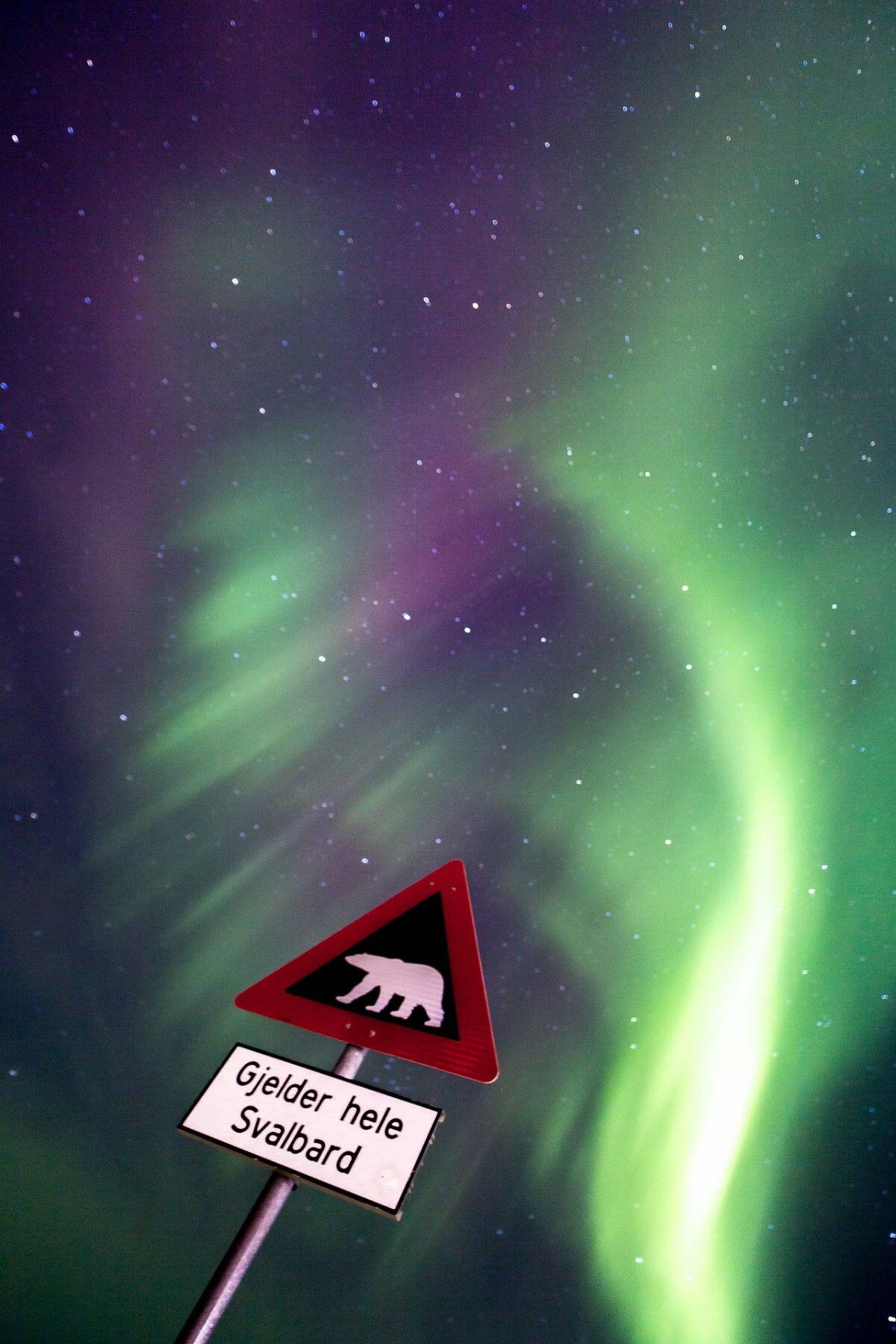 Svalbard aurora northern lights